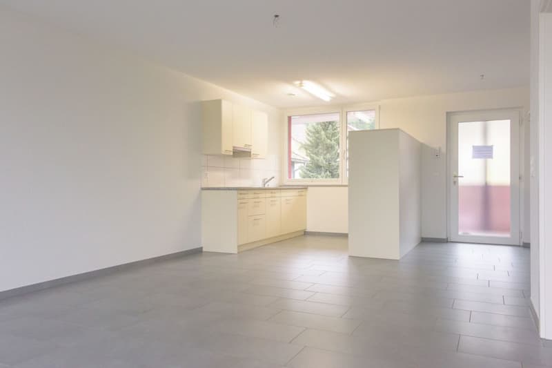 Brugg / 2.5 Zimmer Wohnung 0.2 (3)