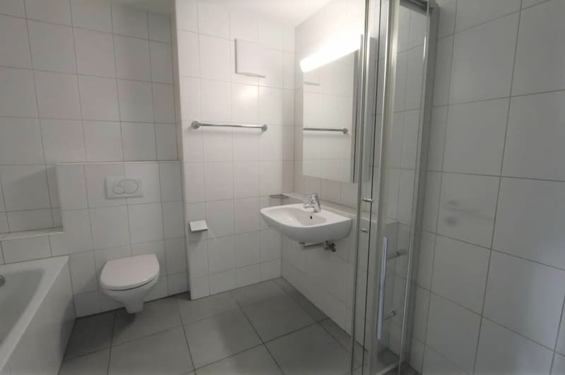 WUNDERBARE WOHNLAGE IN OLTEN (7)