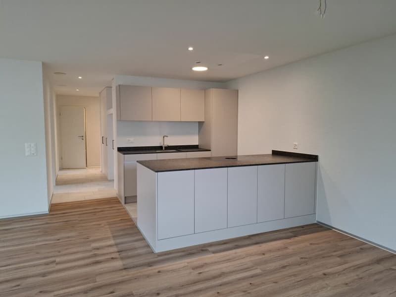 DAS NEUE ZUHAUSE FÜR SIE UND IHRE FAMILIE IN HERZNACH (3)