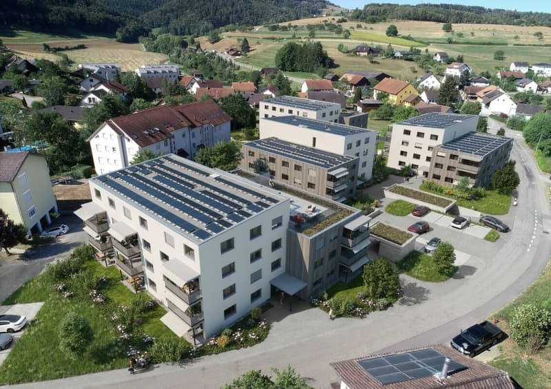 Herznach / 3.5 Zimmer-Wohnung A-2.1 (1)