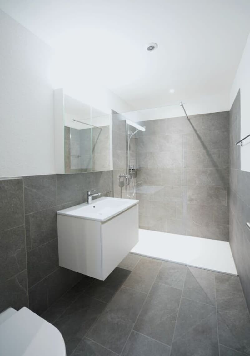Herznach / 3.5 Zimmer-Wohnung A-2.1 (6)