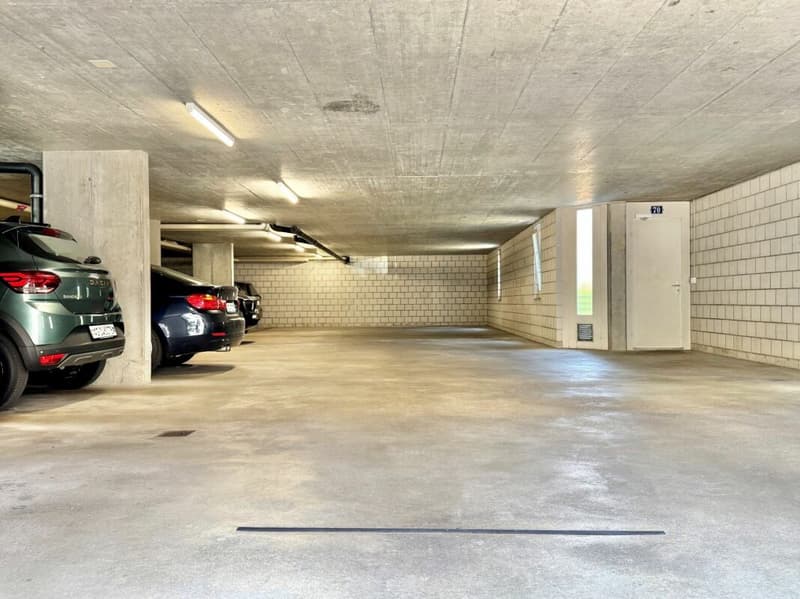 3 1/2 Zimmer-Maisonettewohnung (14)
