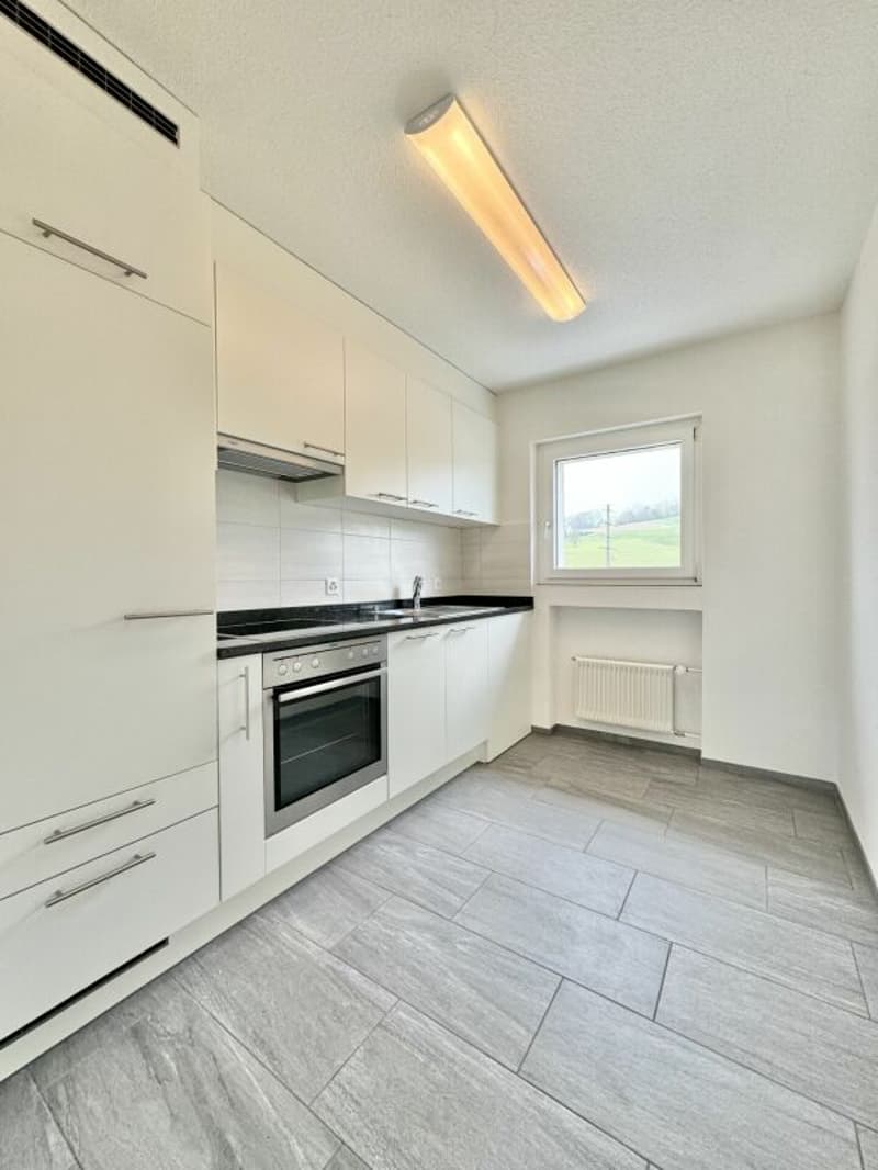 Frick / 3.5 Zimmer-Wohnung Nr. 13 (6)