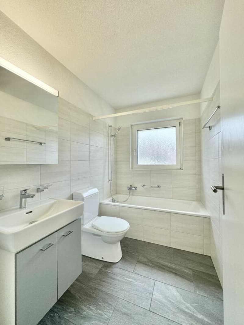 Frick / 3.5 Zimmer-Wohnung Nr. 13 (10)