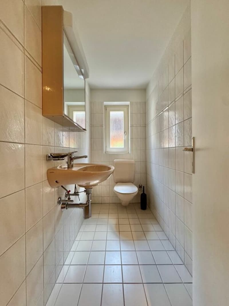 7 Zimmer-Wohnung (11)