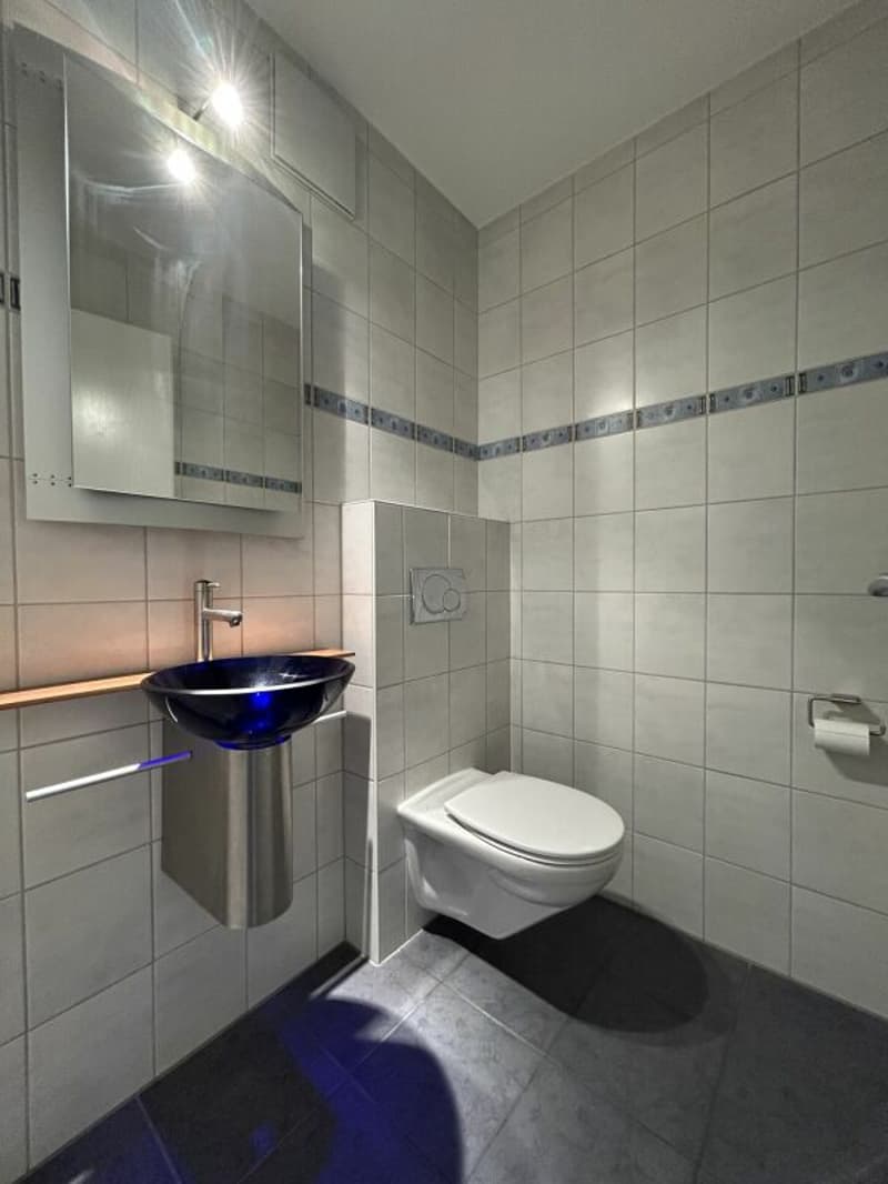 Frick / 5.5 Zimmer-Maisonettewohnung (15)