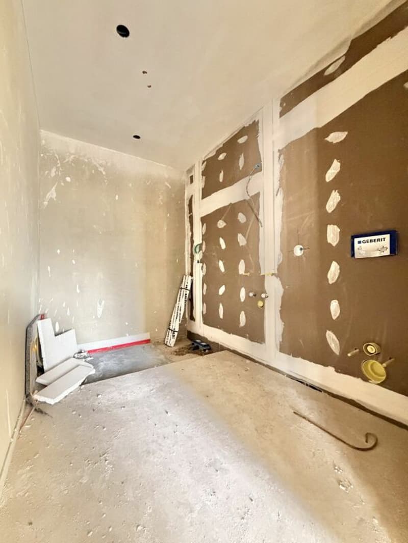 Frick / 3.5 Zimmer Wohnung B2.21 (14)