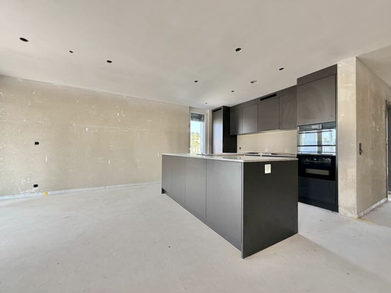 Frick / 3.5 Zimmer Wohnung B2.21 (5)