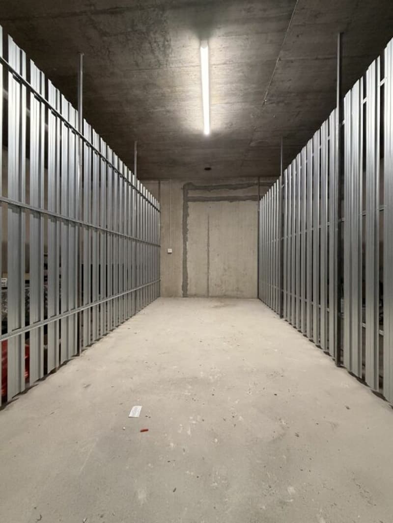 Frick / 3.5 Zimmer Wohnung B2.21 (19)