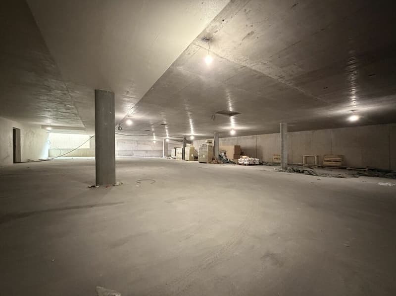 Frick / 3.5 Zimmer Wohnung B2.21 (20)