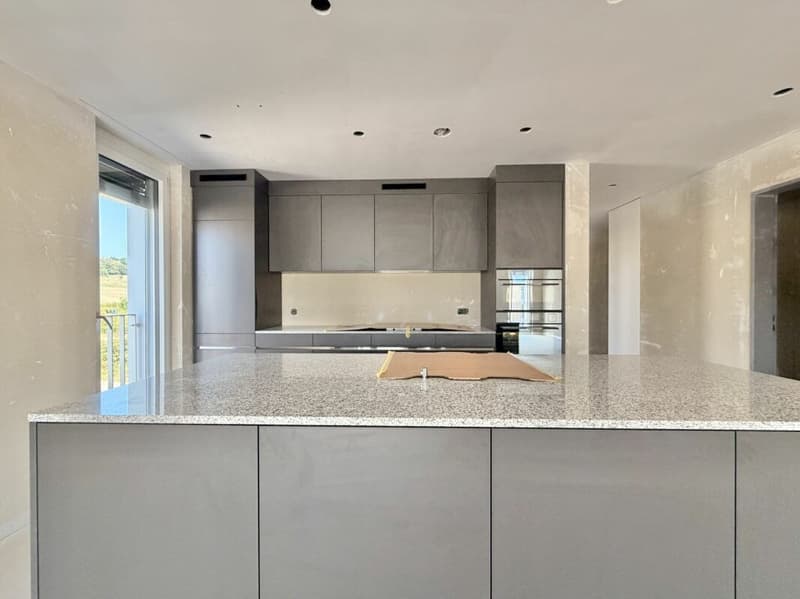 Frick / 3.5 Zimmer Wohnung B2.21 (7)