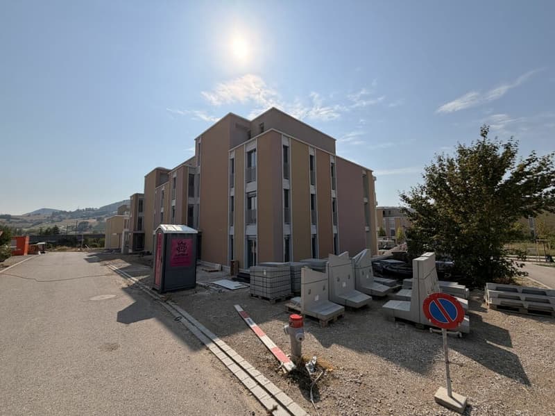 Frick / 3.5 Zimmer Wohnung B2.21 (1)