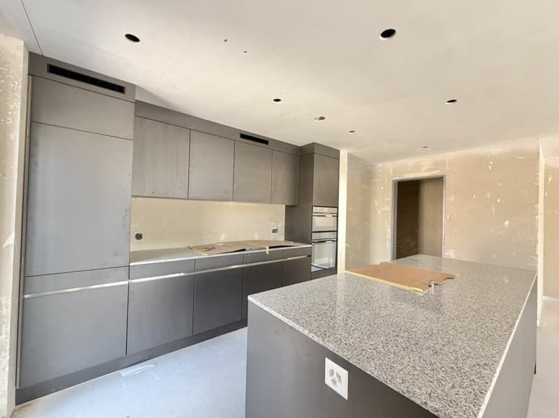 Frick / 3.5 Zimmer Wohnung B2.21 (6)