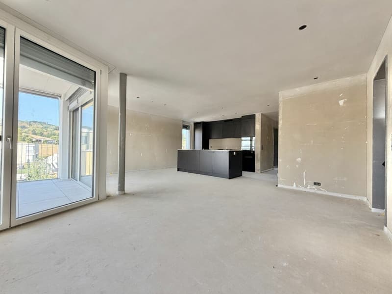 Frick / 3.5 Zimmer Wohnung B2.21 (3)