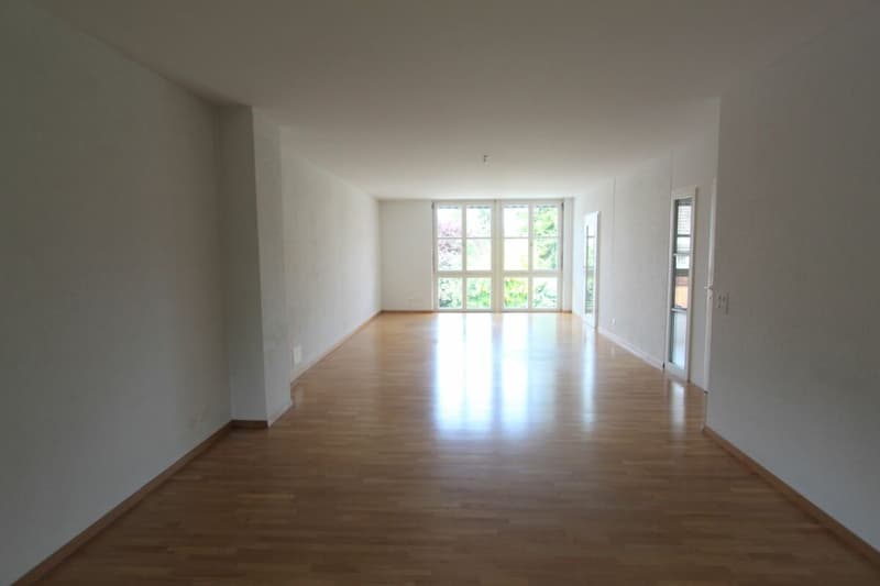 Frick / 3.5 Zimmer-Wohnung 1. OG (7)