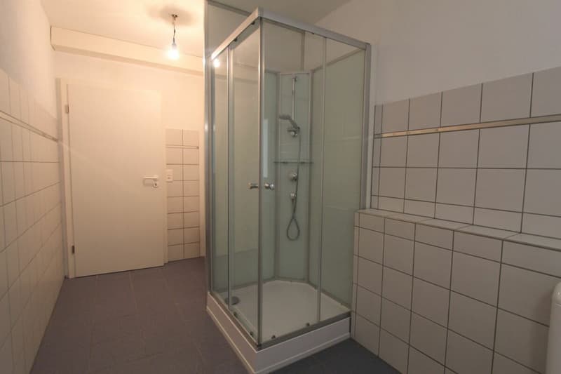 Frick / 3.5 Zimmer-Wohnung 1. OG (9)