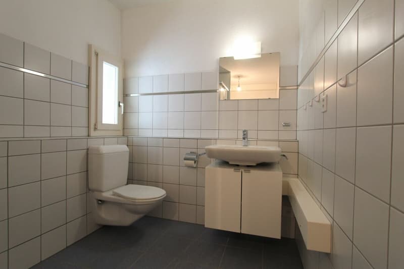 Frick / 3.5 Zimmer-Wohnung 1. OG (10)