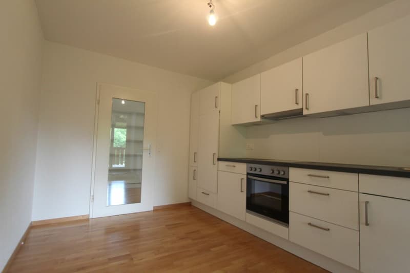 Frick / 3.5 Zimmer-Wohnung 1. OG (3)