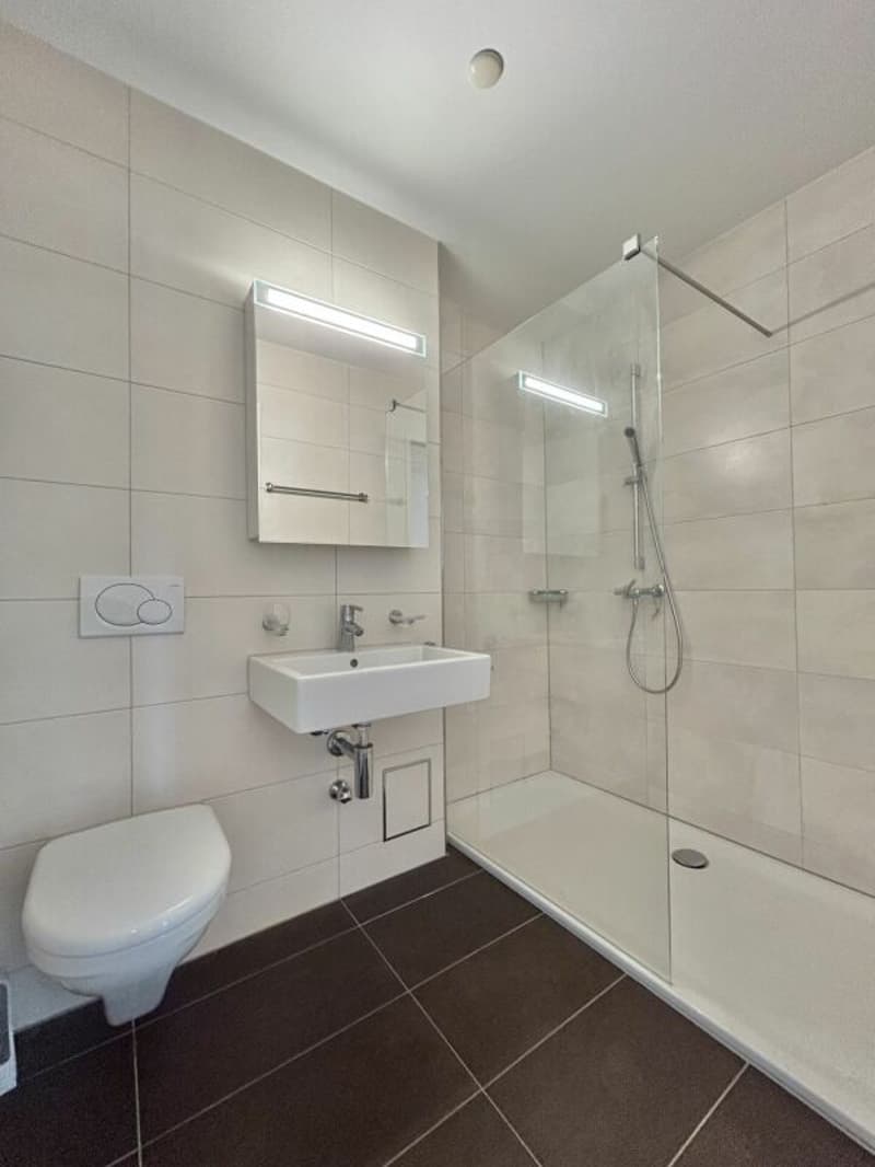 4.5 Zimmer-Wohnung (12)