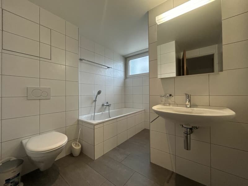 Füllinsdorf / 3 Zimmer Wohnung Erdgeschoss (6)