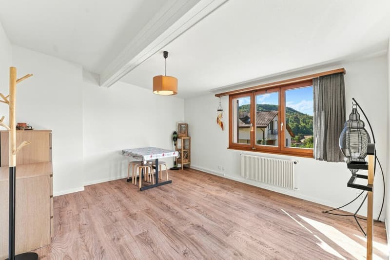 6.5 Zimmer Einfamilienhaus (30)