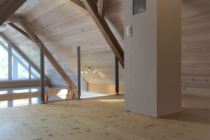 3.5 Zimmer-Dachgeschosswohnung (10)