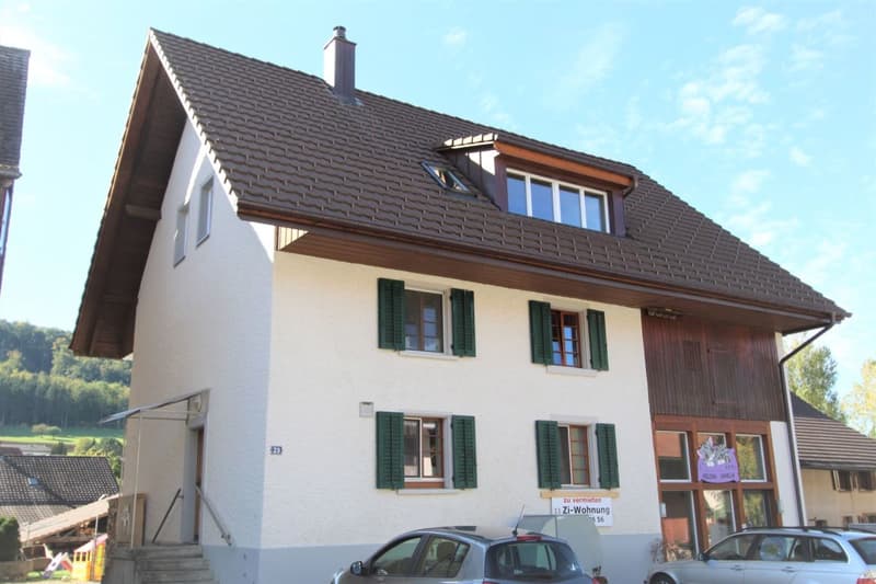3.5 Zimmer-Dachgeschosswohnung (1)
