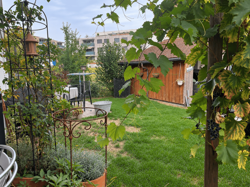 Herznach / 5.5 Altbau Bauernhaus (9)