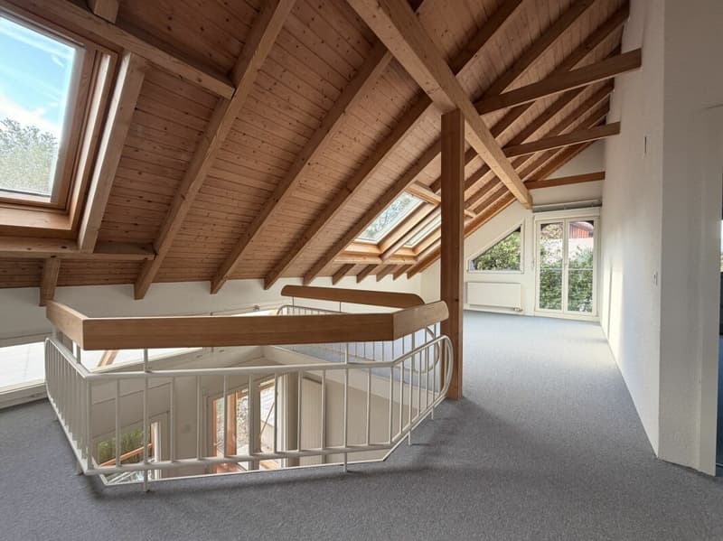 Frick / Freistehendes Einfamilienhaus (17)