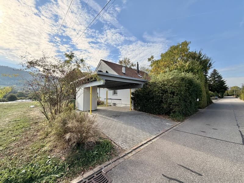 Frick / Freistehendes Einfamilienhaus (30)