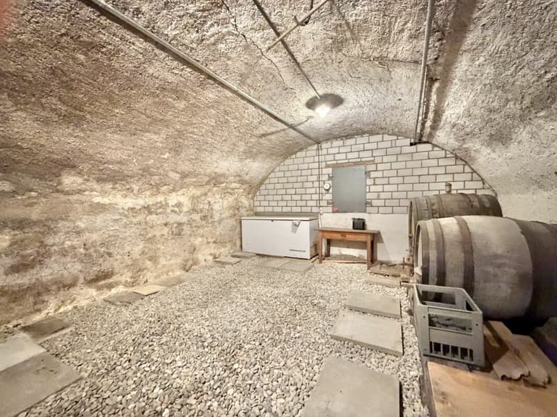 Frick / 5.5 Zimmer Bauernhaus (25)