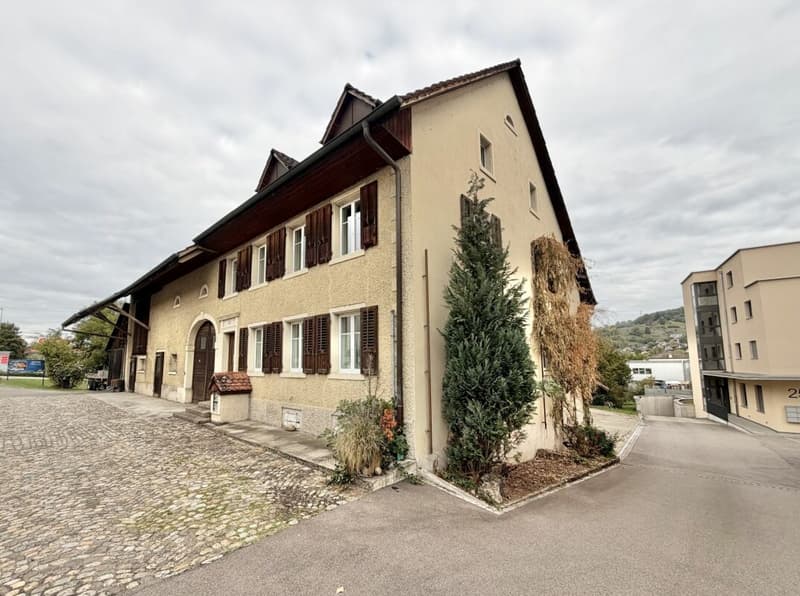 Frick / 5.5 Zimmer Bauernhaus (27)