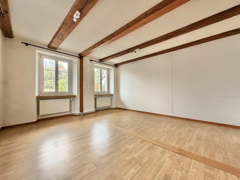Frick / 5.5 Zimmer Bauernhaus (11)