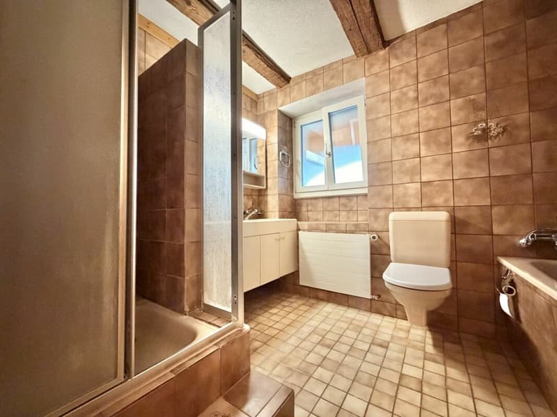 Frick / 5.5 Zimmer Bauernhaus (13)