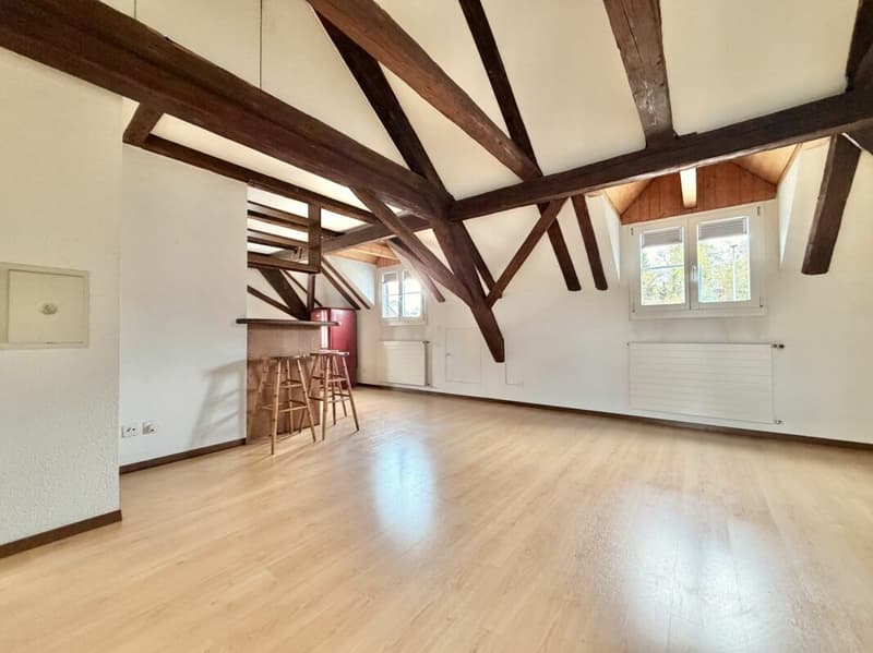 Frick / 5.5 Zimmer Bauernhaus (22)