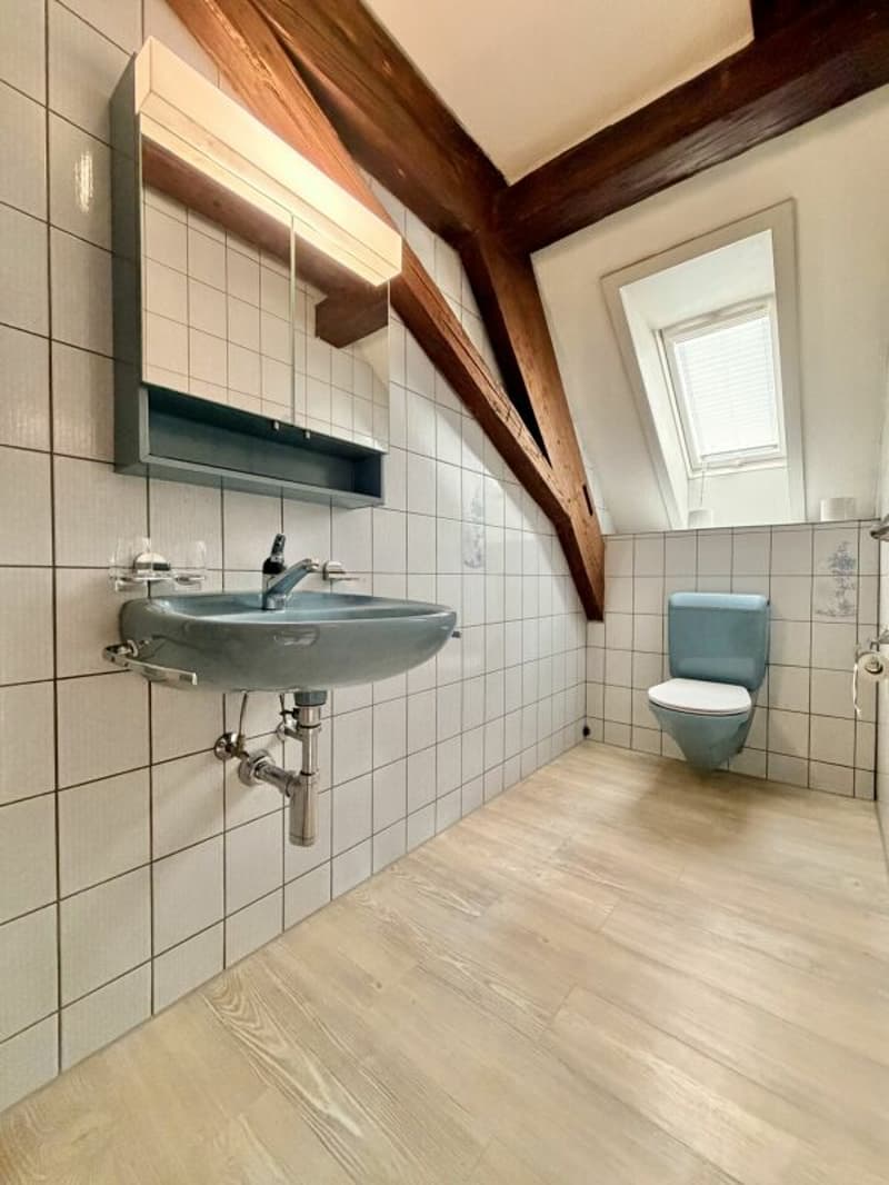 Frick / 5.5 Zimmer Bauernhaus (20)