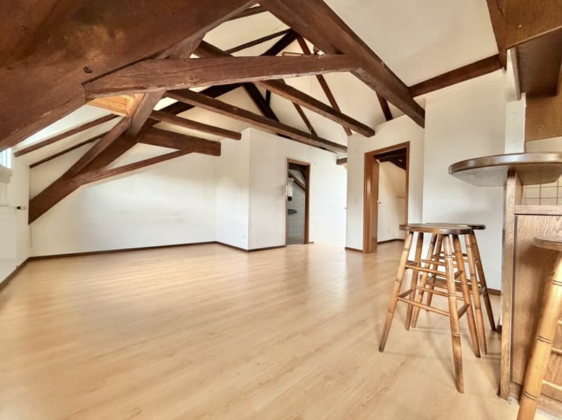 Frick / 5.5 Zimmer Bauernhaus (19)