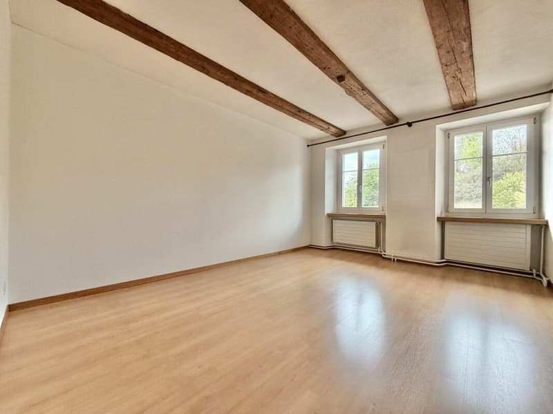 Frick / 5.5 Zimmer Bauernhaus (10)