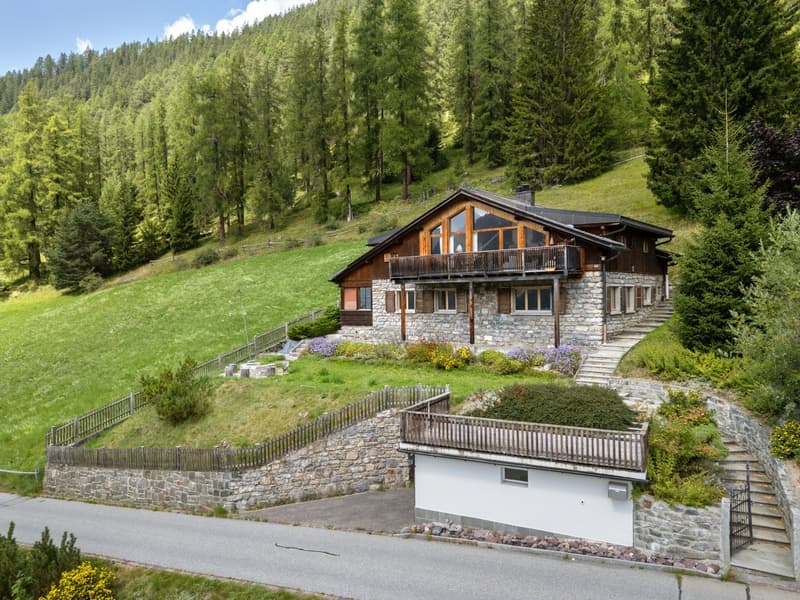 Un refuge avec une vue à perte de vue à Davos Wiesen (8)