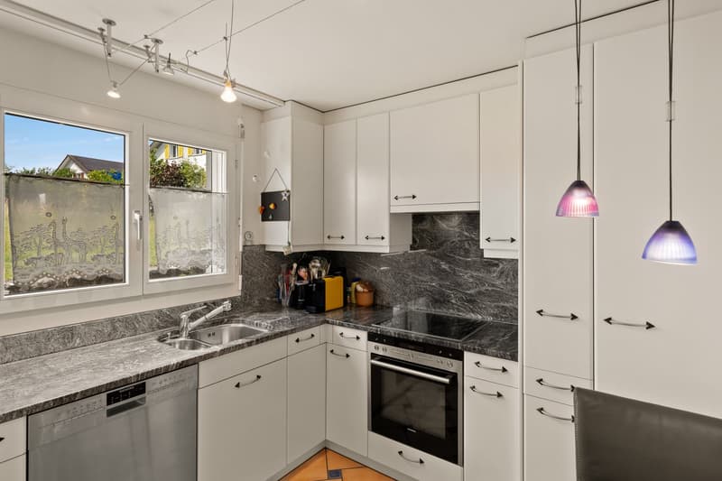 Charmantes 5.5-Zimmer-Doppeleinfamilienhaus in Hedingen (5)