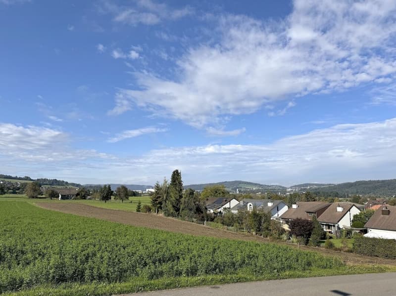 Exklusive Attika-Studiowohnung mit 93 m² Terrasse und Weitsicht (9)