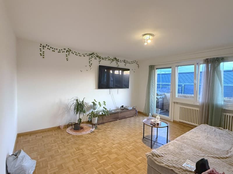 GEPFLEGTES ZUHAUSE MIT ZWEI BALKONE (5)