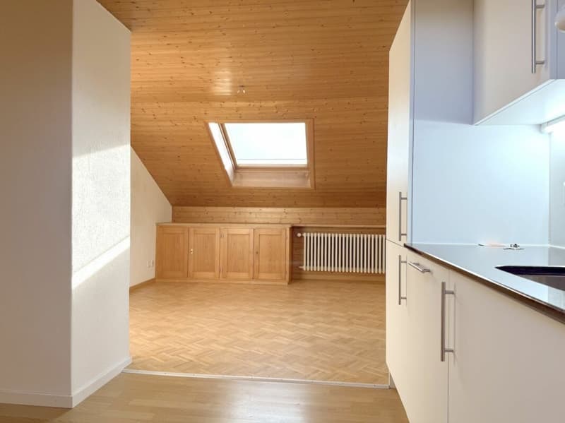 3-ZIMMER DACHWOHNUNG AN RUHIGER LAGE (6)