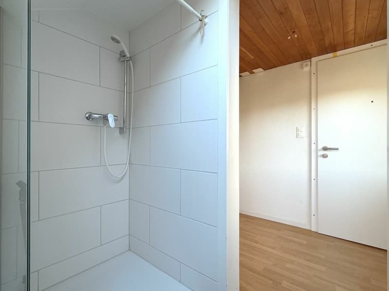 3-ZIMMER DACHWOHNUNG AN RUHIGER LAGE (11)