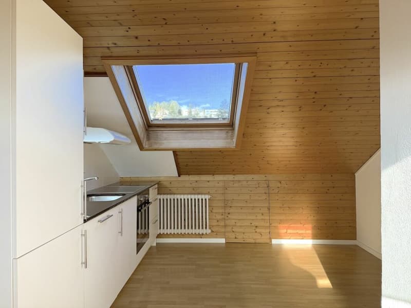3-ZIMMER DACHWOHNUNG AN RUHIGER LAGE (4)