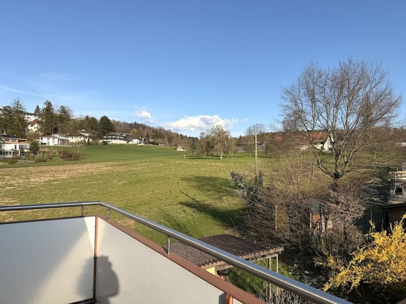 3-ZIMMER DACHWOHNUNG AN RUHIGER LAGE (13)