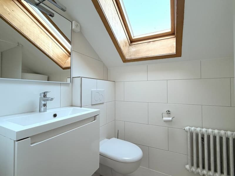3-ZIMMER DACHWOHNUNG AN RUHIGER LAGE (12)