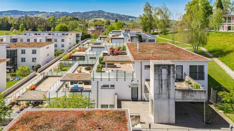 Modernes 6.5-Zimmer-Terrassenhaus mit Weitsicht und grosszügigem Aussenbereich (3)