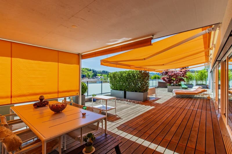Modernes 6.5-Zimmer-Terrassenhaus mit Weitsicht und grosszügigem Aussenbereich (6)