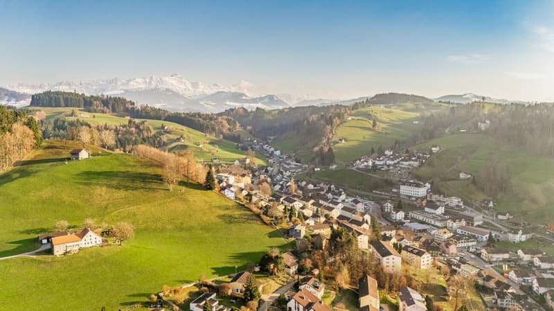 Premium-Gartenwohnung mit riesiger Aussenfläche und Weitsicht (4)